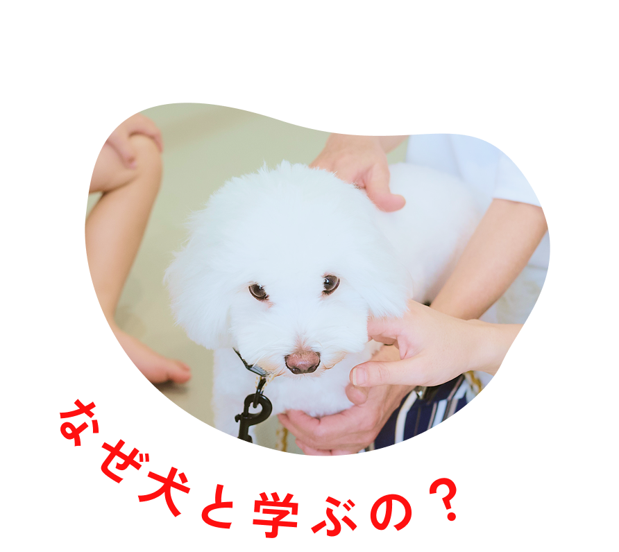 なぜ犬と学ぶの？