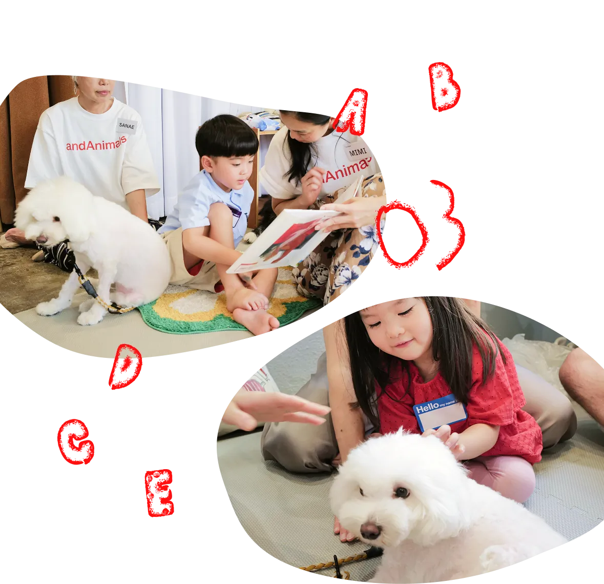 「03」の文字。スタッフたちと本を読み子供と犬が隣り合って聞いている写真と、子供が犬をなでている写真。